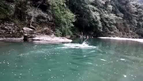 夏天哪些植物开花带香味的